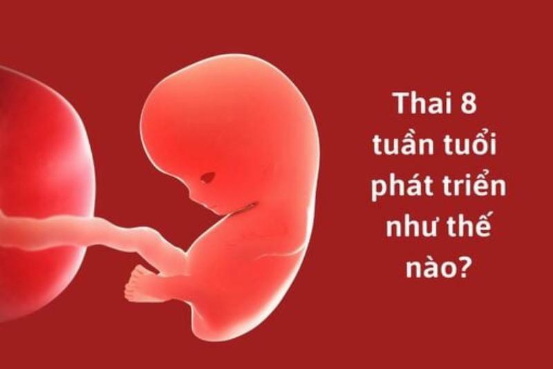 Hinh anh lam tuong dau hieu nhin co tay biet co thai